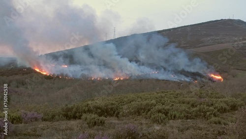 Forest fire. Forest firefighters working to extinguish the fire in the forest.