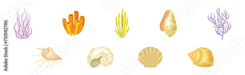 Coral Underwater Flora and Sea Shell and Conch Vector Set