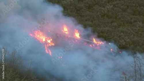 Forest fire. Forest firefighters working to extinguish the fire in the forest.