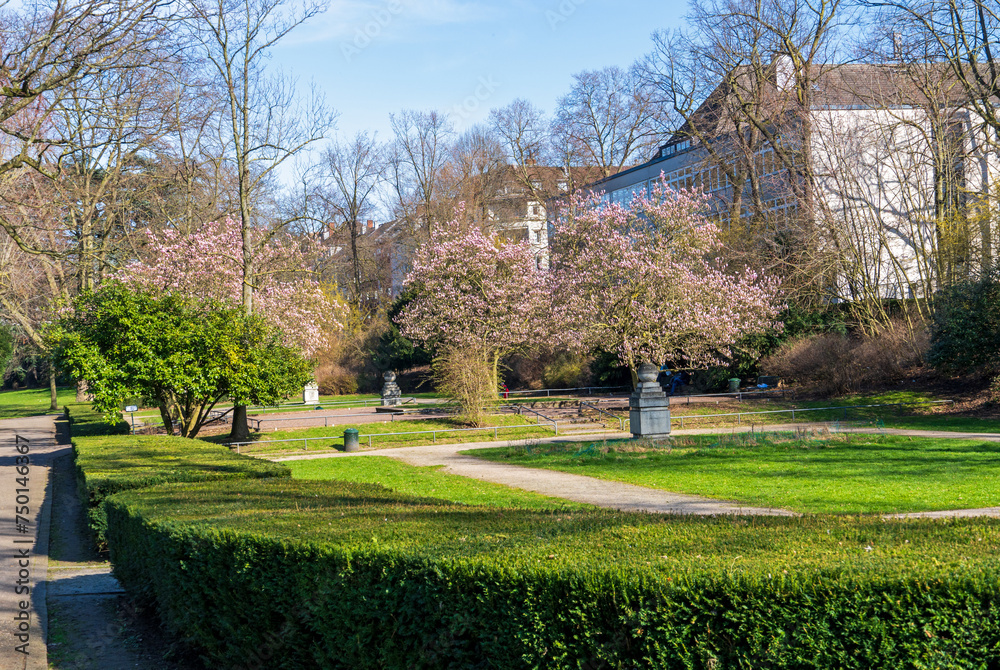 Mühlheimer Stadtgarten, Köln, im Frühling