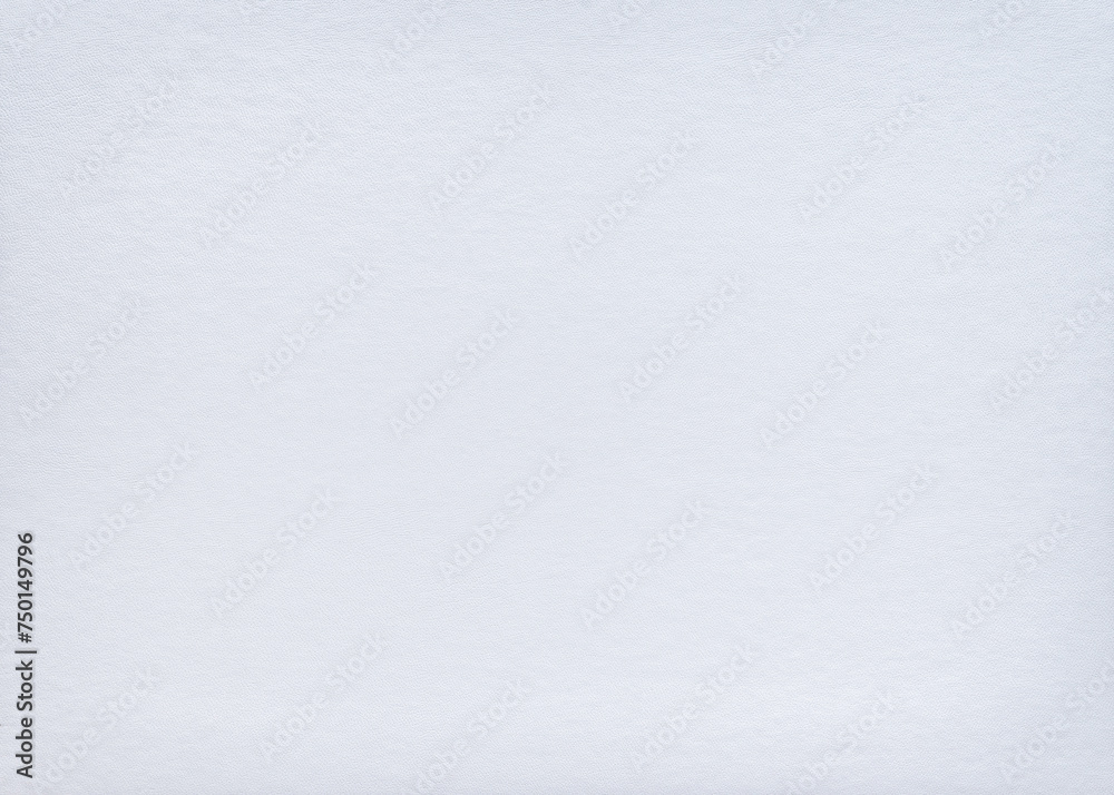 Leather white paper texture, background. Leather white paper texture, background.
