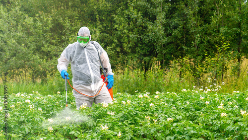 A spraying. Non-organic vegetables. A person sprays toxic pesticides or insecticides on a plantation. Weed control.