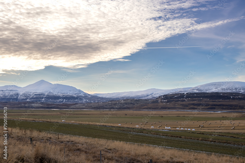 Fototapeta premium Autumn nature with pastures and mountains, Iceland