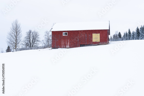 the abandoned red barn in a snow storm photo
