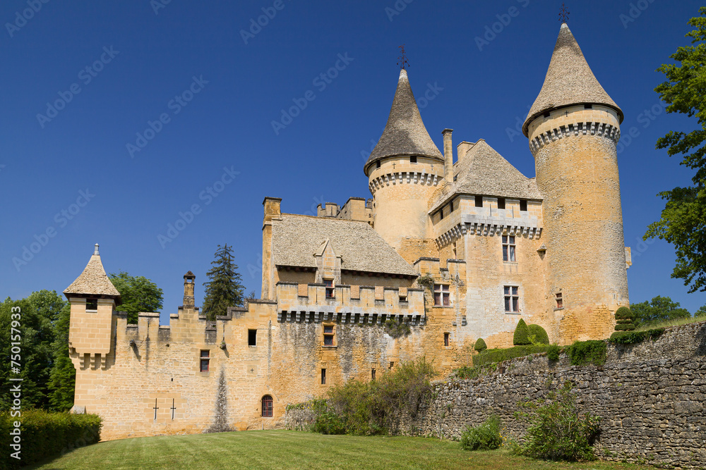 Chateau de Puymartin