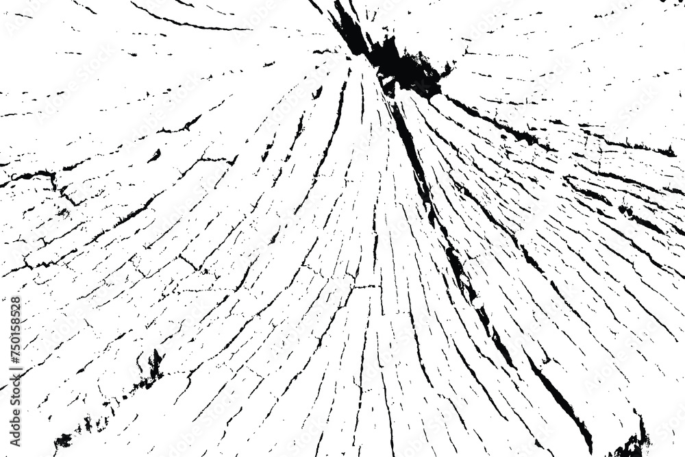 Vector tree rings trace background in black white and saw cut tree trunk. Grunge nature background design elements. Vector tree rings trace background in black white and saw cut tree trunk. Grunge nature background design elements.