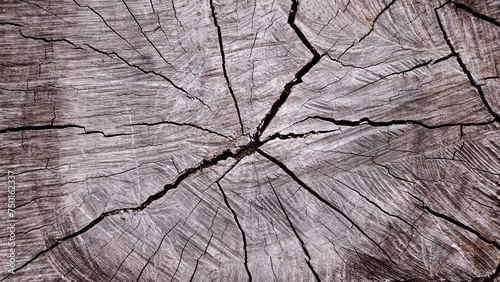 Light brown old hard wood with cracks, natural cross-section of a tree for abstract Horizontal seamless wooden background and texture.Backdrop, patterns, space for work, vintage wallpaper.Close up.