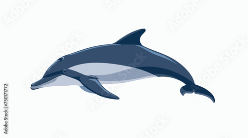 dolphin Vector