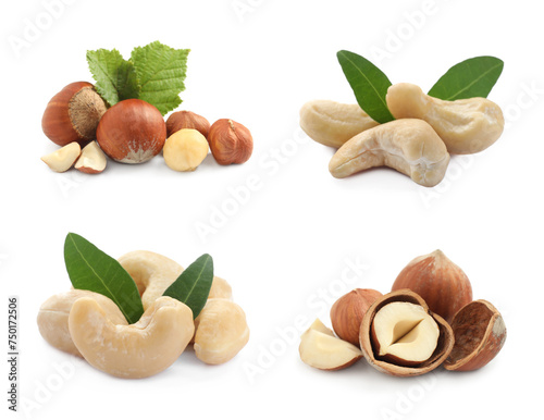 Tasty hazelnuts and cashews isolated on white, set