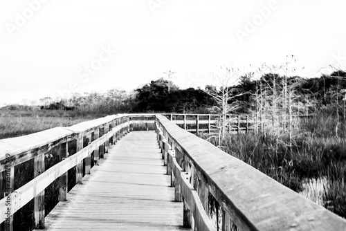 Boardwalk to the Pa-Hay-Okee Lookout Tower in the Everglades National Park © Lost_in_the_Midwest