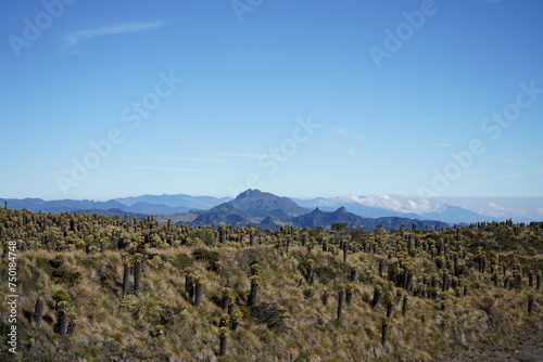 Parque Natural Nacional Los Nevado Colombia Volcán Cerro Bravo