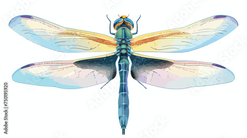 Dragonfly insect cartoon isolated illustration isola