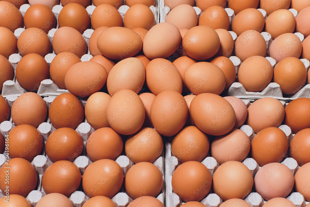 brown eggs Paper trays containers paper. many brown eggs Paper trays containers paper. many