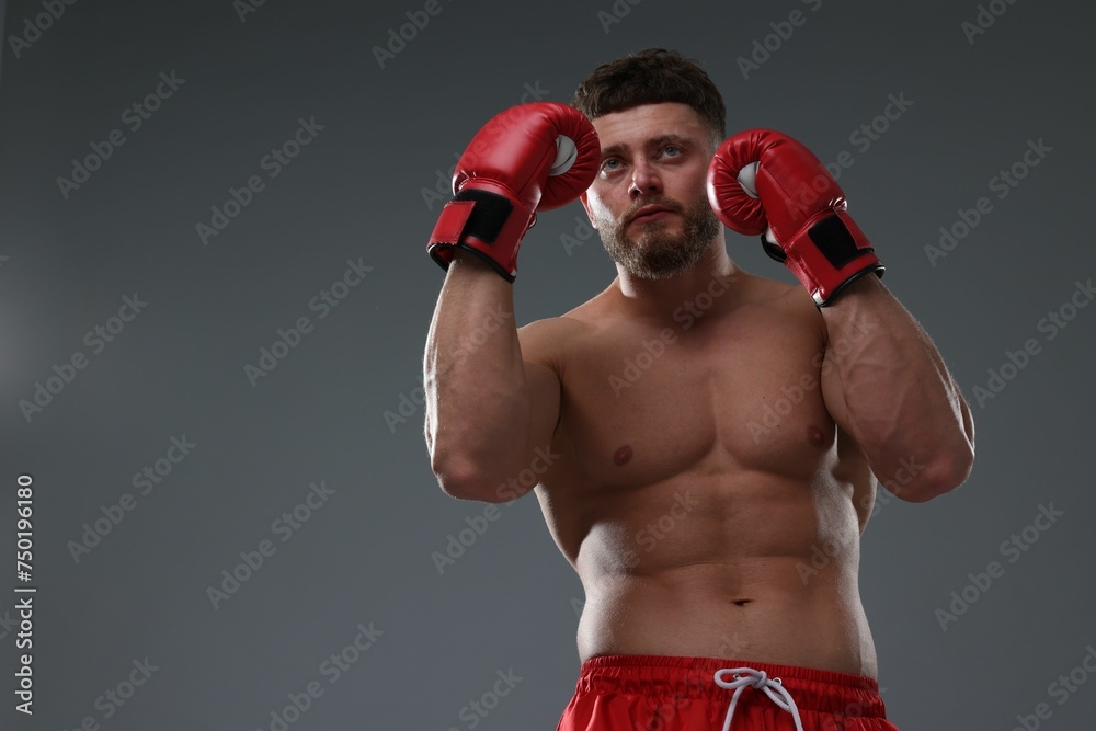 Man in boxing gloves on grey background, low angle view. Space for text