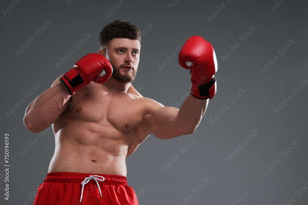 Man in boxing gloves fighting on grey background, low angle view. Space for text