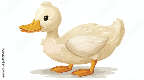 Duck cartoon cute animal isolated illustration isola