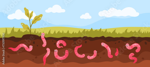 Soil layers diagram with green grass and worms underground. Cute useful earthworm characters crawling in ground to dig dirt and humus, help plants grow on farm field cartoon vector illustration