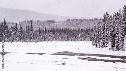 Jasper National Park，Canada - Dec. 25 2021: Frozen creek in surrounded by forest and rockie mountains in Jasper National Park photo