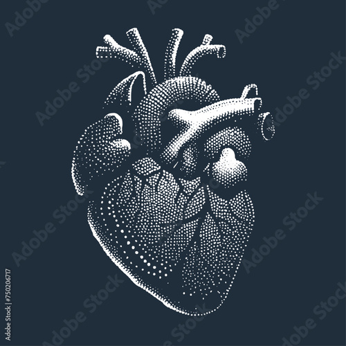 Heart. Vintage woodcut engraving stipple style vector illustration.