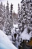 Maligne Canyon, Canada - Dec. 25 2021: Creek frozen in Maligne Canyon surounded by forest