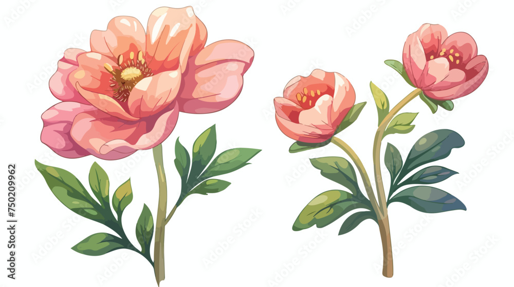 Flower blooming cartoon isolated illustration isolat