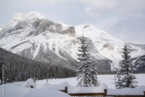 Yoho National Park, Canada - Dec. 23 2021: Frozen Emerald Lake hiding in winter forest surounded by rockies mountains in Yoho National Park