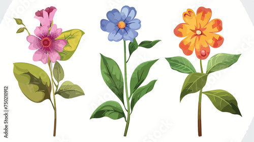 Flower set on stem with leaves cartoon isolated illu © Hyper