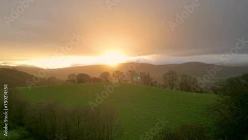 Aerial view ascending over pine tree and sunrise in Denbighshire countryside UK photo