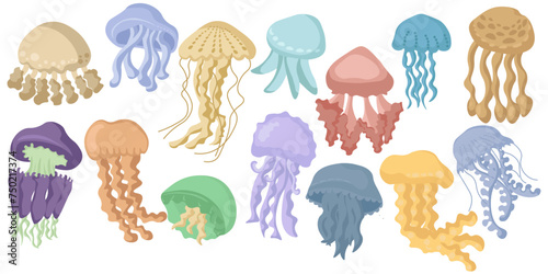 Set of jellyfish of different shapes and sizes, sea inhabitants free swimming at different depths