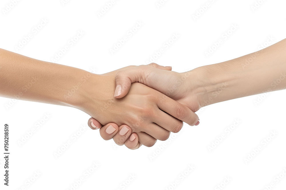 Handshake isolated on transparent background