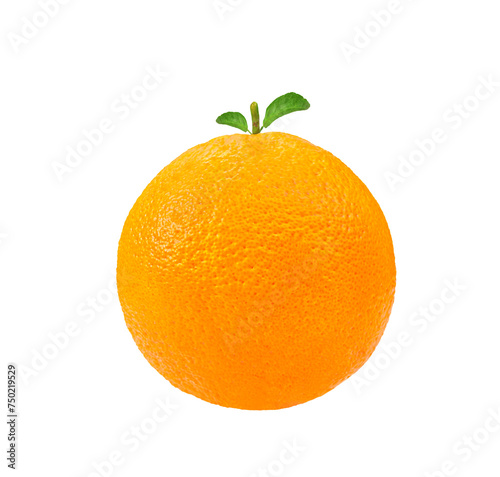 Orange solated on transparent png