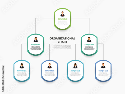 Corporate organizational chart with business avatar icons. Business hierarchy infographic elements
