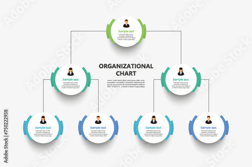 Corporate organizational chart with business avatar icons. Business hierarchy infographic elements