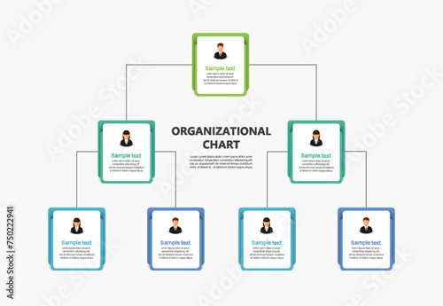 Corporate organizational chart with business avatar icons. Business hierarchy infographic elements