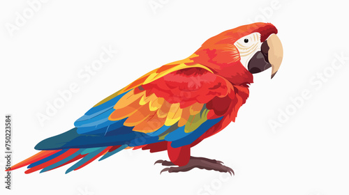 Parrot bird sits flat animal isolated illustration i