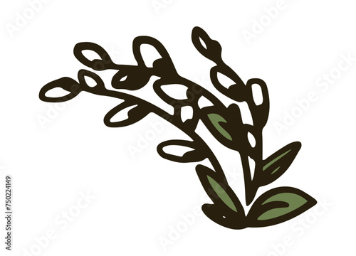 Willow kittens branches illustration on light white background. Willow cats branches. Doodle Easter vector illustration. Pussy willow branches