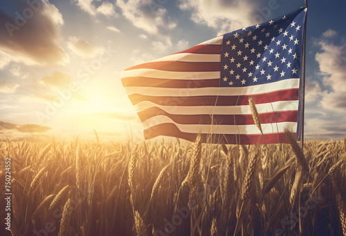 wheat rye field, american flag field, sunlit wheat field, golden light streaming, independence day concept, amidst the golden stalks photo