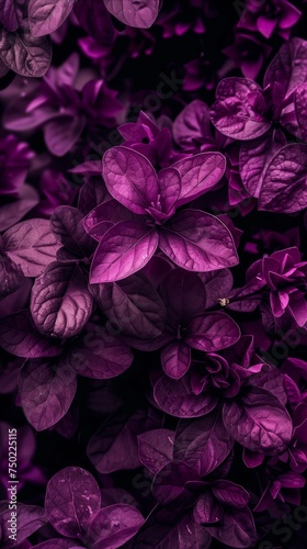 Elegant purple leaves background in high detail