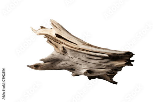 A high quality stock photograph of a single driftwood isolated on a white background