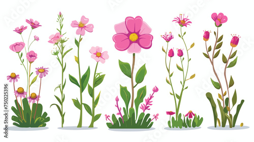Pink flower blooming set of garden cartoon plant iso © visual