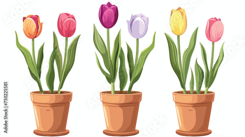 Potted tulip flower decoration ornament isolated on