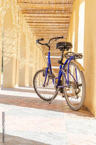 An old vintage city bike parked in a footpath outdoors with an arched yellow colored walls and roof covered with dried sorghum stalks. Surface level view with sunlight and shadows.