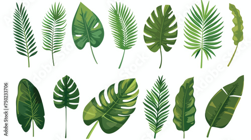 Tropical leafs palms natural icons vector illustrati photo