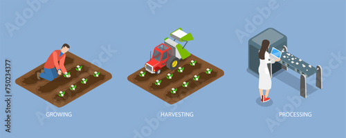 3D Isometric Flat Vector Illustration of Cotton Farm, Agribusiness Textile Industry
