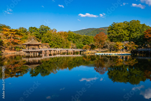 秋が近づく奈良の浮御堂 © Rika
