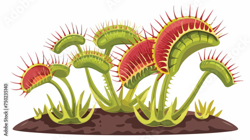 Venus flytrap carnivorous plant cartoon isolated ill photo