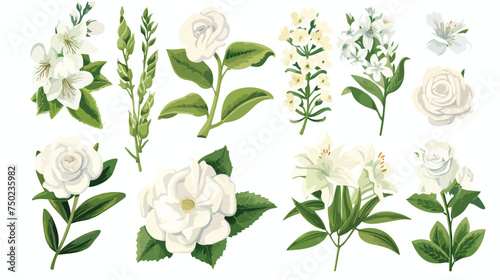 White flower bouquet floral set cartoon isolated ill