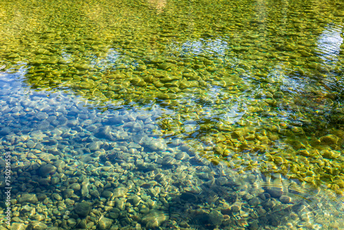 Fototapeta Naklejka Na Ścianę i Meble -  Crystal clear water of the Frio River.