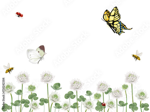 クローバー畑と昆虫たち