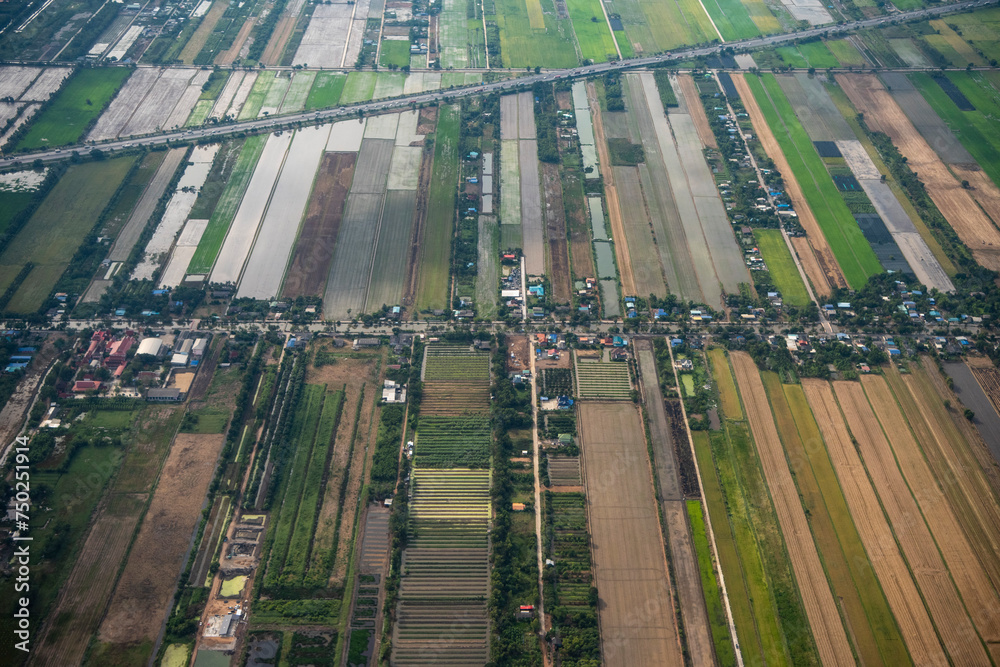 THAILAND PATHUM THANI AGRICULTURE FIELDS